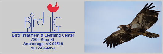 Bird Treatment & Learning Center